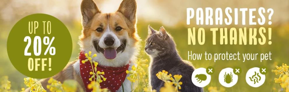 Flea and tick prevention for dogs and cats.