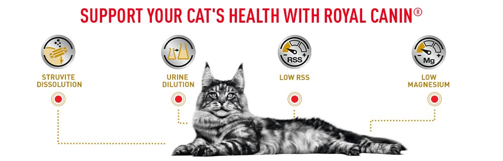 Support Your Cat's Health with Royal Canin Urinary S/O