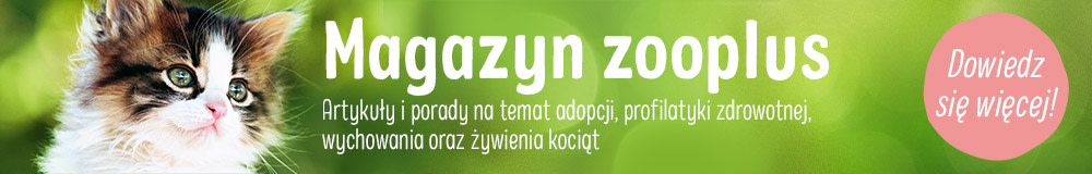 2023_06_KittenClub_Magazin_General_1000x160_PL