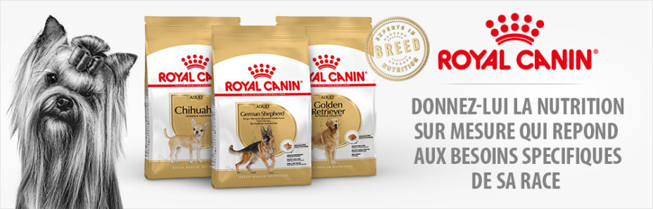 Croquettes Royal Canin Breed pour chien