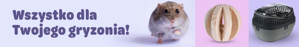 Małe zwierzęta według gatunku