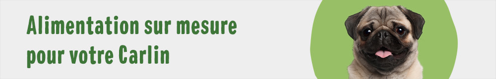 Alimentation sur mesure pour votre Carlin