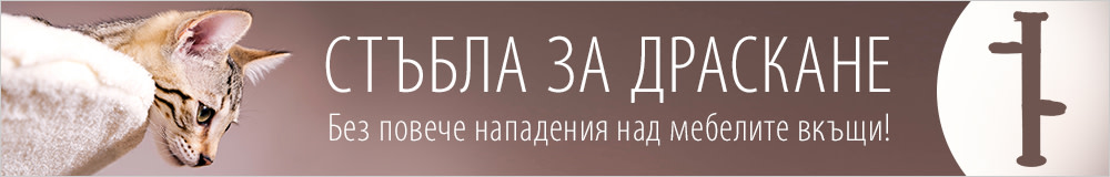 Стъбла за драскане