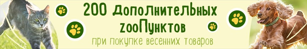 Получите дополнительные 200 zooпунктов