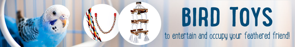 Entertain and occupy your feathered friend with these Bird Toys!