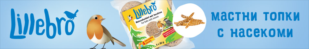 Lillebro мастни топки, с насекоми