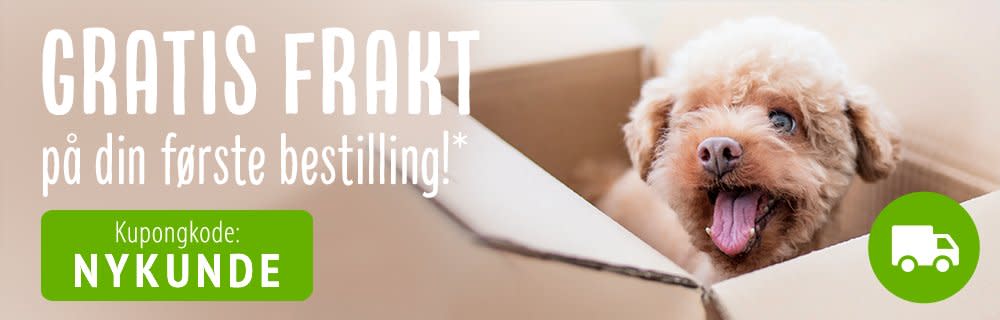 Gratis frakt