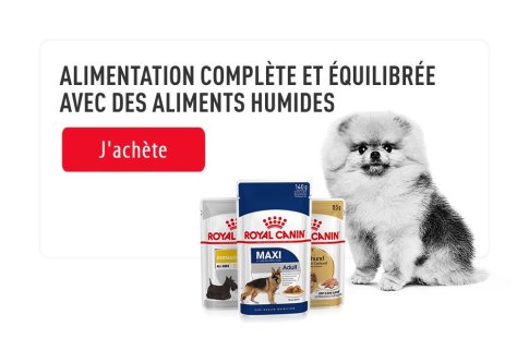 ROYAL CANIN BRAND PAGE - DOG Subpage - Picture Grid Container - Picture Grid item Royal Canin Top Marque image