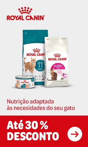 Até 30 % de desconto nas gamas Fussy and Ageing de Royal Canin para gatos