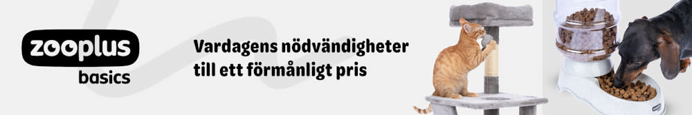 zooplus basics. Vardagens nödvändigheter till ett förmånligt pris.