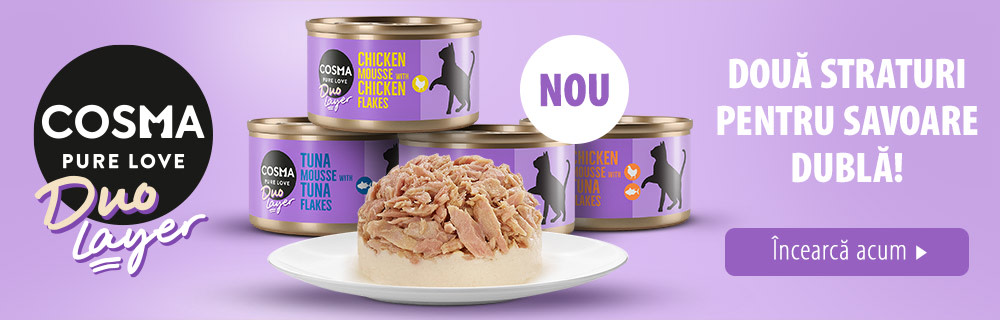 Nou: Cosma DUO Layer 6 x 70 g