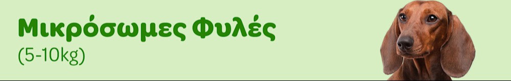 Μικρόσωμες Φυλές