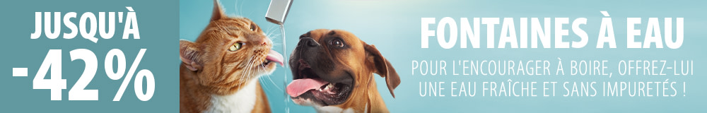 Jusqu'à - 42 % sur les fontaines à eau pour chat et chien