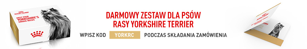 Darmowy zestaw dla psów rasy yorkshire terrier