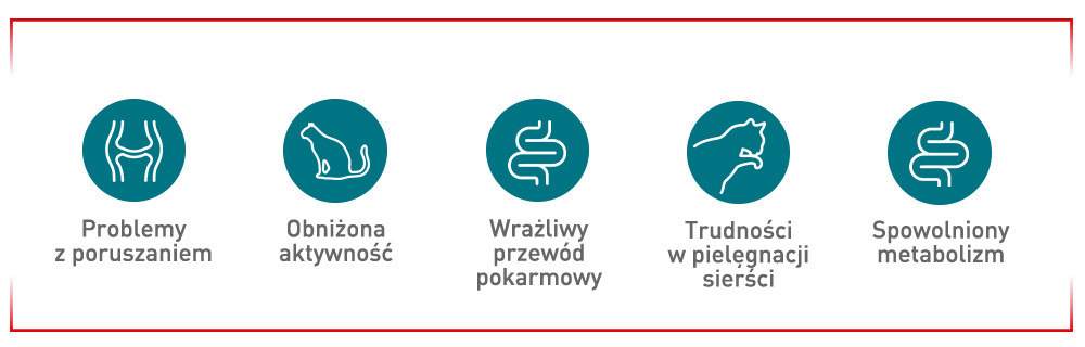 Symptomy, na które należy zwrócić uwagę