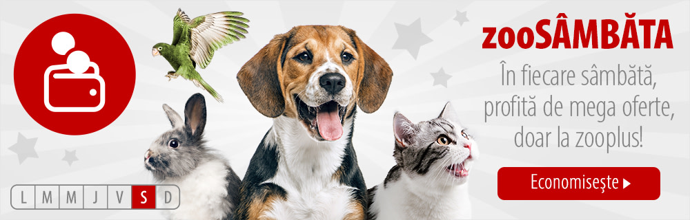 Vino sâmbăta pe zooplus și vezi ce îți aduce zooSÂMBĂTA asta!