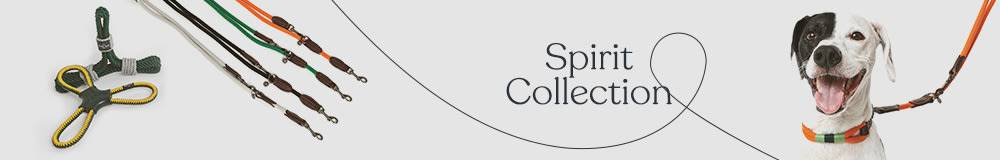 Spirit Collection