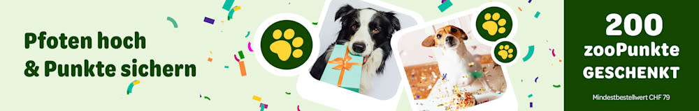 Pfoten hoch & Punkte sichern. Jetzt in der Hundekategorie einkaufen und belohnen lassen - 200 zooPunkte GESCHENKT. Mindestbestellwert CHF 79
