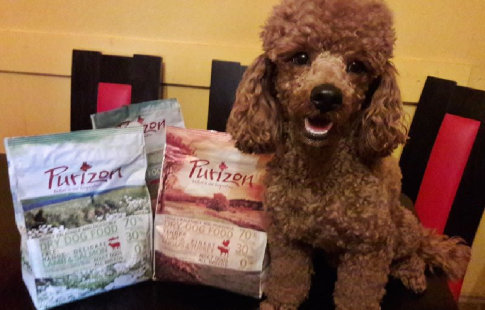 Purizon îi face pe câini nerăbdători să guste bobițele delicioase!