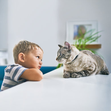 Child with a cat