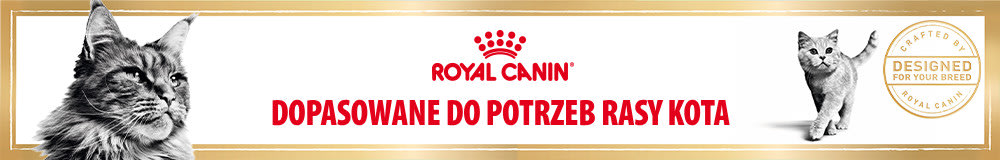 Royal Canin Breed Futter für Rassekatzen