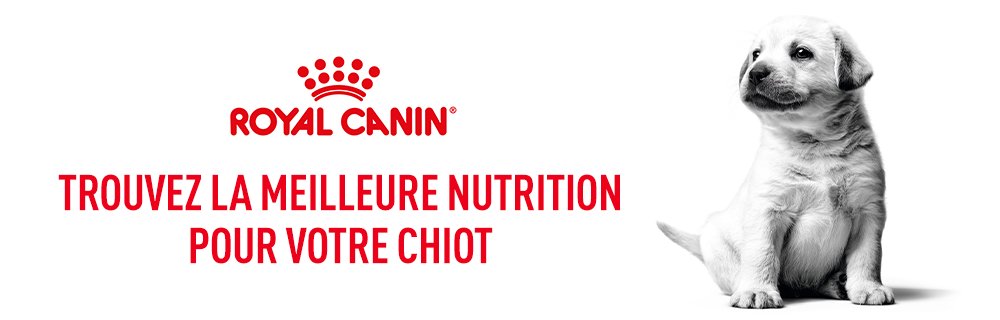 Royal Canin Puppy Subpage - Top Middle banner Image