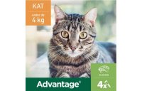 Advantage® 40 voor Katten tot 4 kg