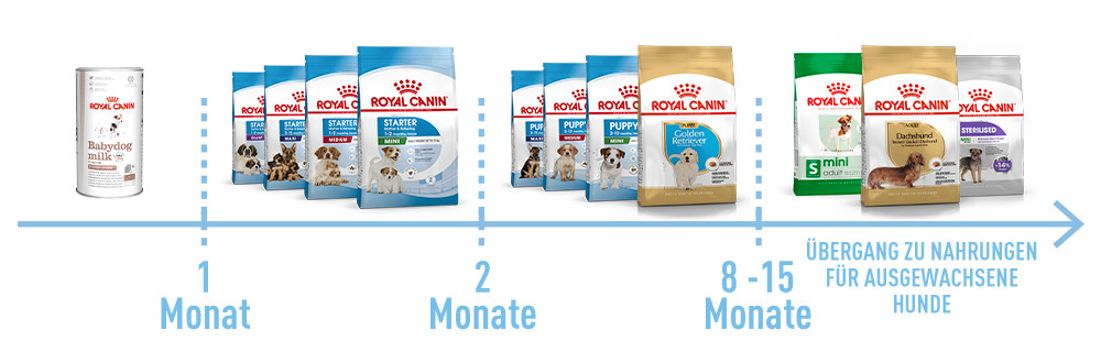 JEDERZEIT GUT VERSORGT