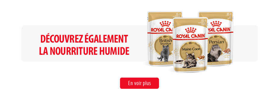 Royal Canin Feline Breed Nutrition - Middle Banner Humide Image
