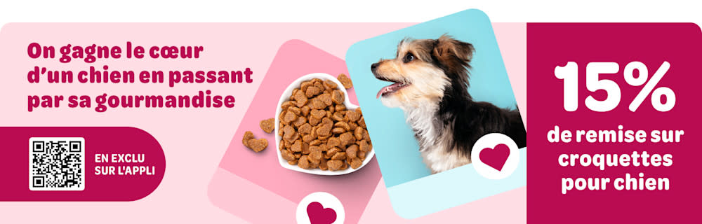 En exclu sur l'appli: On gagne le coeur d'un chien en passant par sa gourmandise - 15% de remise sur croquettes pour chien