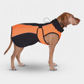 Manteau pour chien