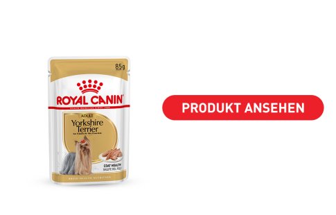 3 Pouches Royal Canin Yorkshire Terrier Adult Nassfutter