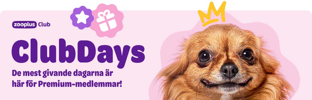 zooplus Club: ClubDays. Exklusiva förmåner för premiummedlemmar!