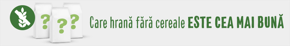 Care hrană fără cereale este mai bună?