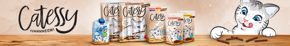 Discover Catessy
