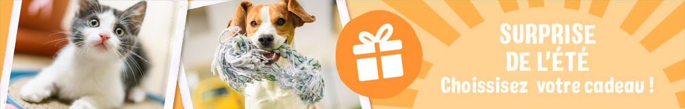 Surprise de l'été : choisissez votre cadeau