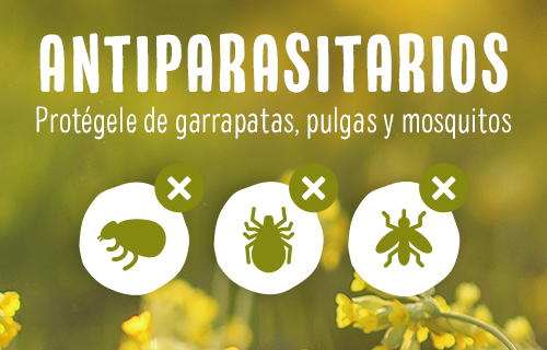Antiparasitarios