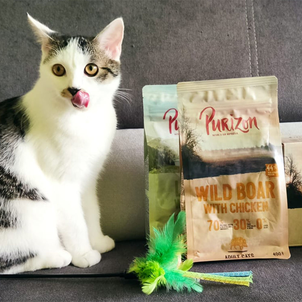 Purizon Cat