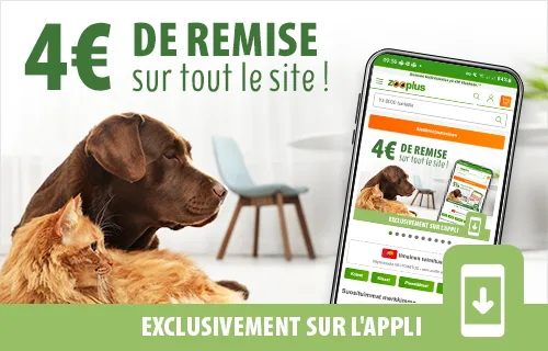 4€ de remise sur l'appli !