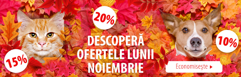 🍂🍁 În noiembrie plouă cu oferte la zooplus! 🍁🍂