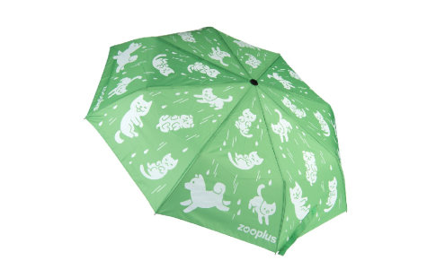 Зонт в подарок при заказе от 74 евро ☔💚 Акции в zoochic