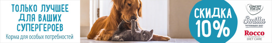 10% скидка на терапевтические корма для кошек и собак | zoochic