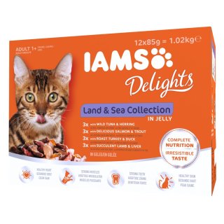 IAMS