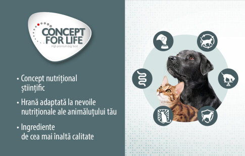Nutritie Concept for life pentru pisici