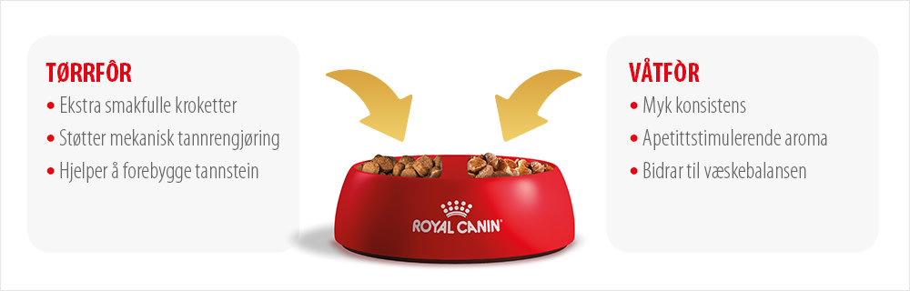 Royal Canin