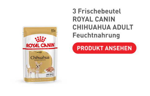 Royal Canin Chihuahua Adult Nassfutter