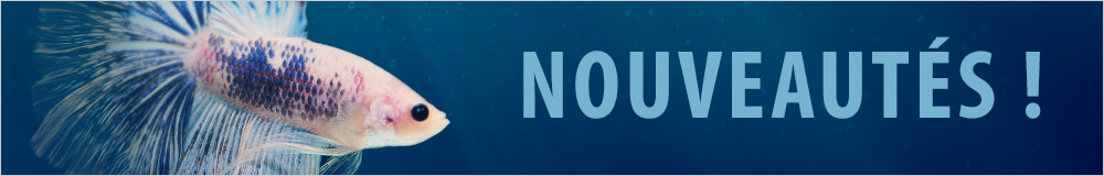 Nouveautés pour aquariums