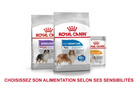 ROYAL CANIN BRAND PAGE - DOG Subpage - Grid Container - Sensitivity image
