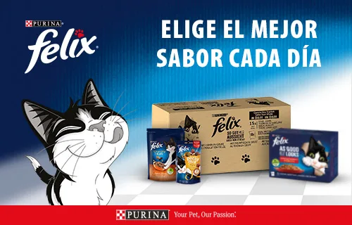 Felix comida para gatos, elige el mejor sabor cada día