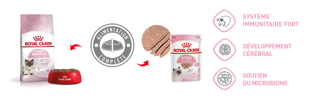 Royal Canin Kitten 